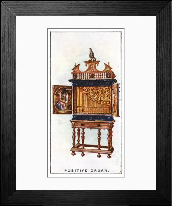 Framed Print : Positive Organ Framed Print : Positive Organ