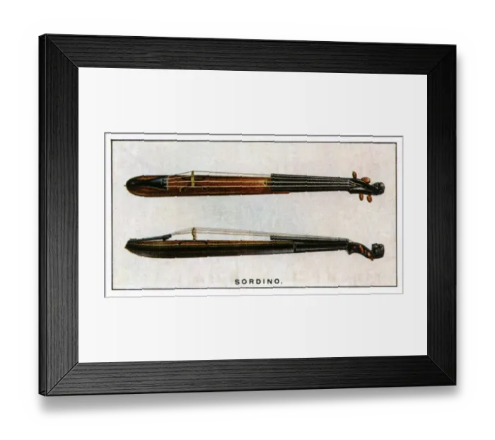 Framed Print : Sordino - known to the French as a pochette - this instrument is a pocket fiddle Framed Print : Sordino - known to the French as a pochette - this instrument is a pocket fiddle