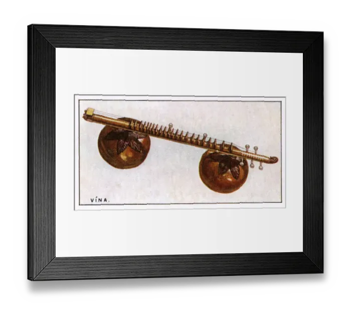 Framed Print : Vina - Indian Instrument Framed Print : Vina - Indian Instrument