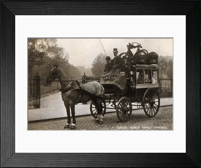 Framed Print : A Single Horse Family Omnibus Framed Print : A Single Horse Family Omnibus