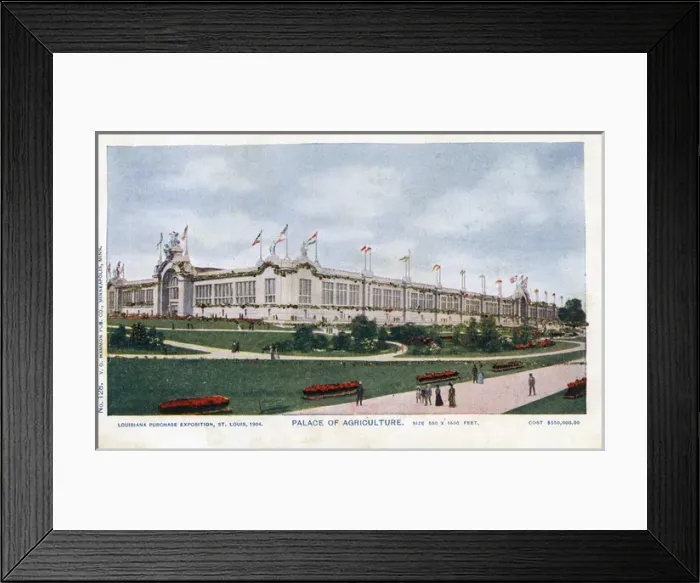 Framed Print : St. Louis Worlds Fair, St. Louis - Palace of Agriculture Framed Print : St. Louis Worlds Fair, St. Louis - Palace of Agriculture