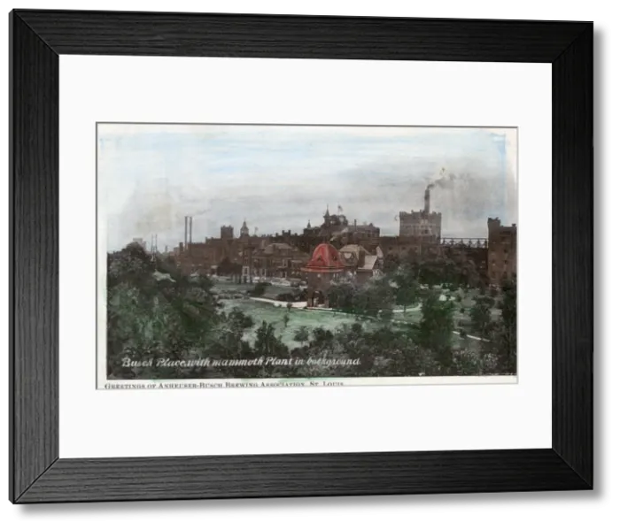 Framed Print : St. Louis Worlds Fair - Busch Place with mammoth plant in ba Framed Print : St. Louis Worlds Fair - Busch Place with mammoth plant in ba