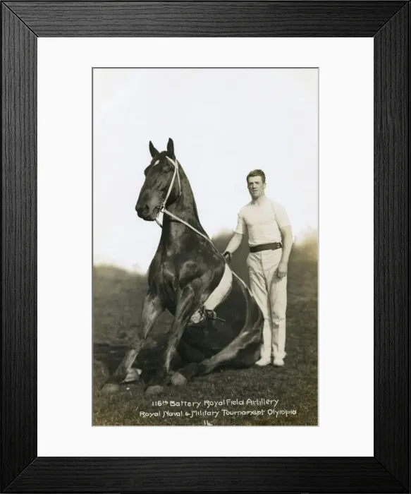 Framed Print : Horse & Soldier of the 116th Battery - Royal Field Artillery Framed Print : Horse & Soldier of the 116th Battery - Royal Field Artillery
