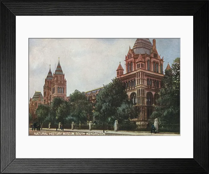 Framed Print : Natural History Museum, South Kensington, London Framed Print : Natural History Museum, South Kensington, London