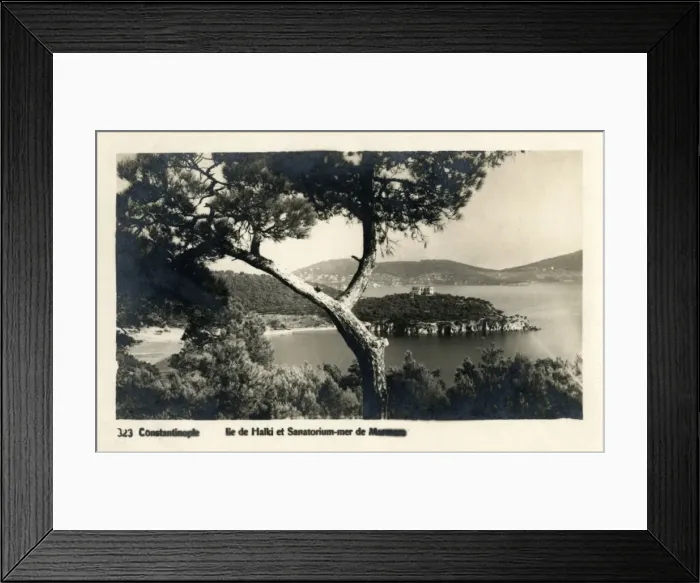Framed Print : Istanbul, Turkey - Sanitorium on Heybeliada (Halki)