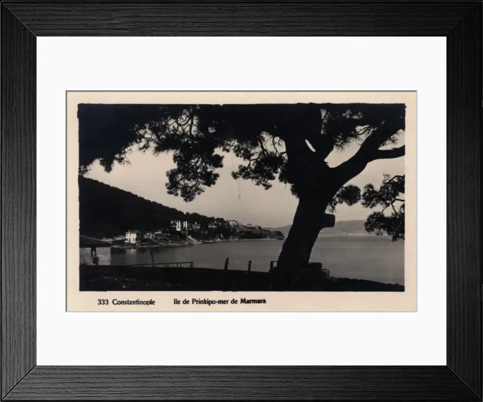 Framed Print : Istanbul, Turkey - Island of Prinkipo (Buyukada) Framed Print : Istanbul, Turkey - Island of Prinkipo (Buyukada)