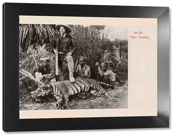Tiger Hunting in Malaya