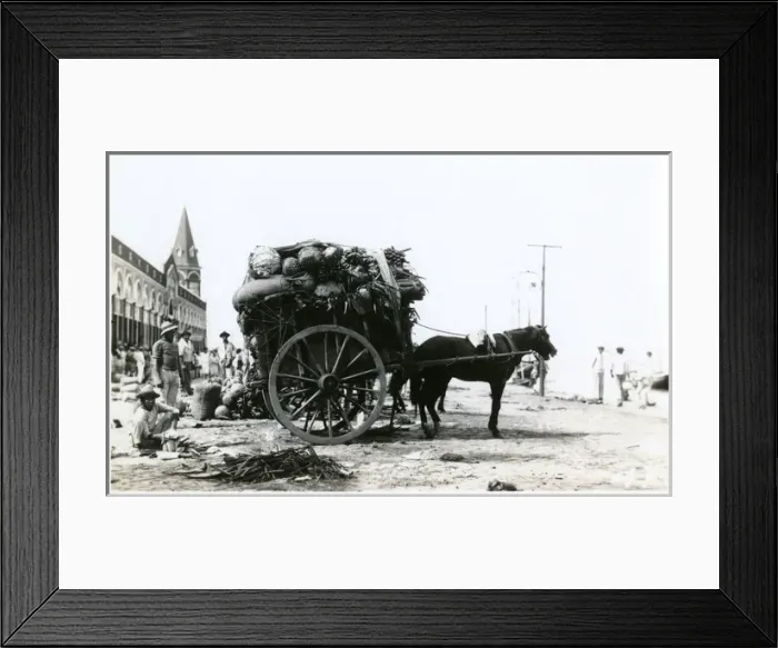 Framed Print : Ver-o-peso market - Belem, Brazil Framed Print : Ver-o-peso market - Belem, Brazil