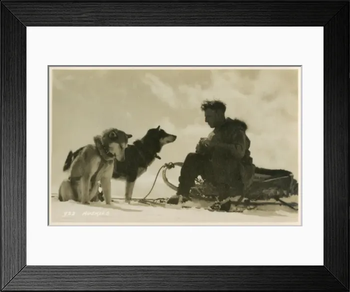 Framed Print : Canadian man sitting on his sled with his two huskies Framed Print : Canadian man sitting on his sled with his two huskies