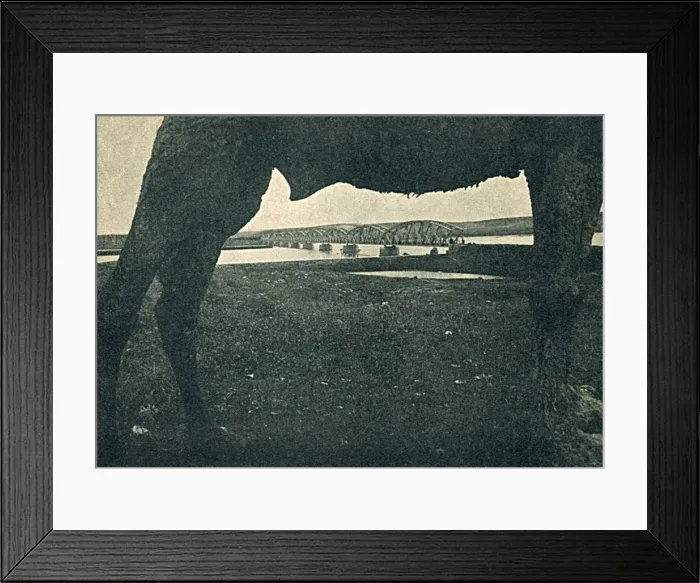 Framed Print : New Bridge in Turkey seen from below a camel Framed Print : New Bridge in Turkey seen from below a camel