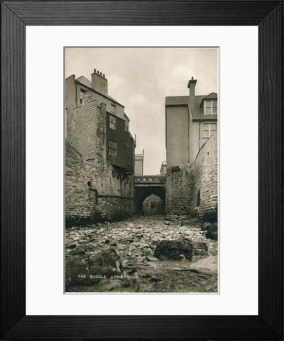 Framed Print : The Buddle, Lyme Regis, Dorset Framed Print : The Buddle, Lyme Regis, Dorset