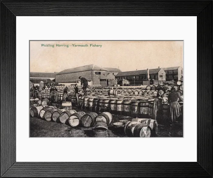 Framed Print : Yarmouth Fishery, Norfolk - Pickling Herring Framed Print : Yarmouth Fishery, Norfolk - Pickling Herring