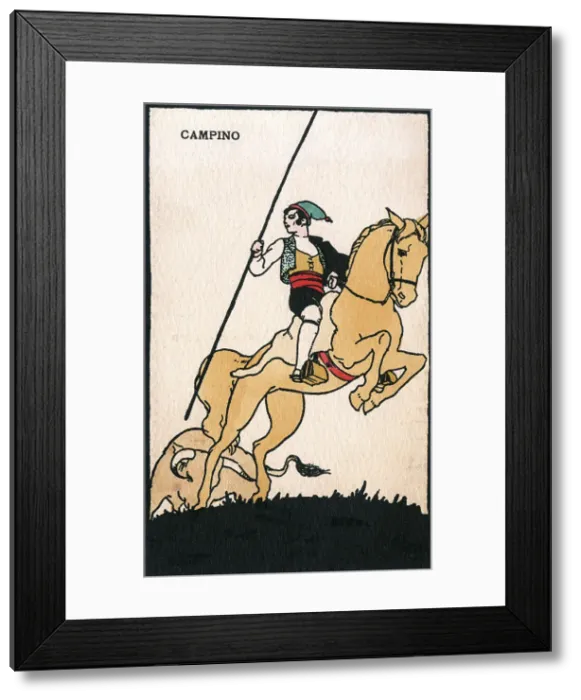 Framed Print : Campino - Portuguese Bull tender Framed Print : Campino - Portuguese Bull tender