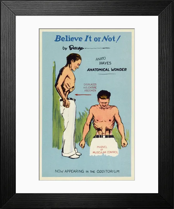 Framed Print : Ripleys Believe-it-or-not - Anato Hayes - Odditorium Framed Print : Ripleys Believe-it-or-not - Anato Hayes - Odditorium