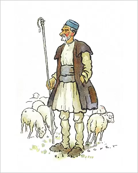 Thessaloniki - Macedonian Shepherd