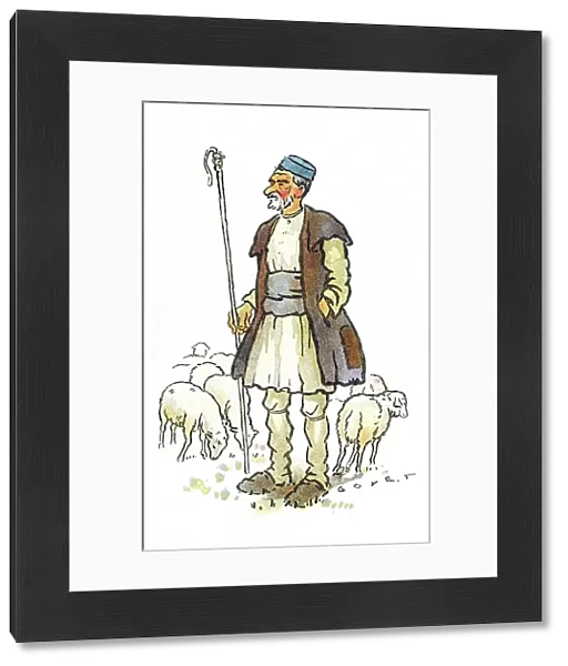 Thessaloniki - Macedonian Shepherd