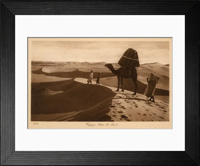 Framed Print : Travelling across the Sahara, Egypt - Camel Framed Print : Travelling across the Sahara, Egypt - Camel