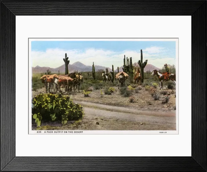 Framed Print : A Pack Outfit in the desert - Arizona, USA Framed Print : A Pack Outfit in the desert - Arizona, USA