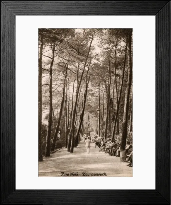 Framed Print : Pine Walk - Bournemouth, Dorset, England Framed Print : Pine Walk - Bournemouth, Dorset, England