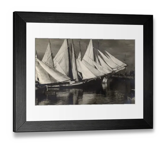 Framed Print : Sails drying - Arab Dhows in the harbour at Beirut, Lebanon Framed Print : Sails drying - Arab Dhows in the harbour at Beirut, Lebanon