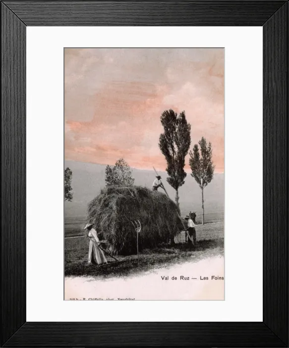 Framed Print : Making Hay whilst the sun shines in Switzerland Framed Print : Making Hay whilst the sun shines in Switzerland