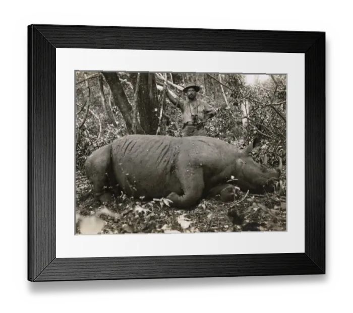 Framed Print : South Africa - Rhino Hunt - Ladislas Radzivill Framed Print : South Africa - Rhino Hunt - Ladislas Radzivill