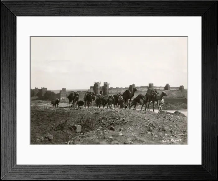 Framed Print : Morocco, North West Africa - View toward Rabat Framed Print : Morocco, North West Africa - View toward Rabat