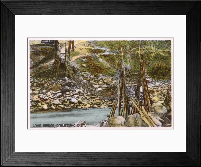 Framed Print : Cane Bridge - Darjeeling District, India Framed Print : Cane Bridge - Darjeeling District, India