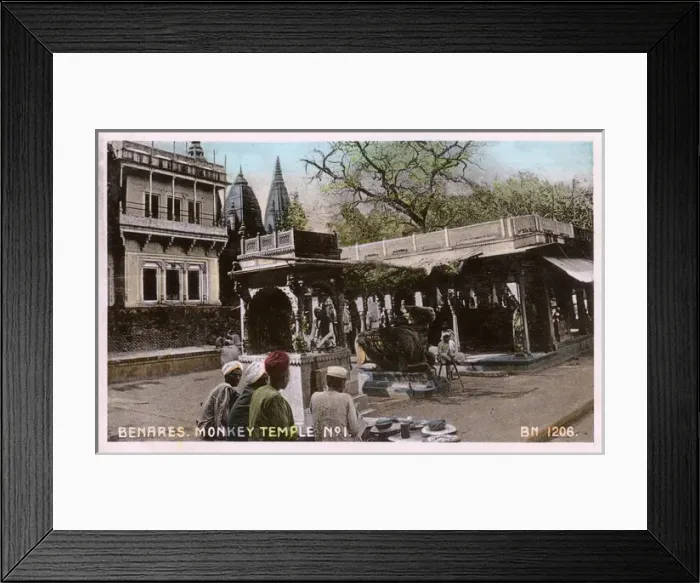 Framed Print : Benares, India - Monkey Temple No. 1 Framed Print : Benares, India - Monkey Temple No. 1