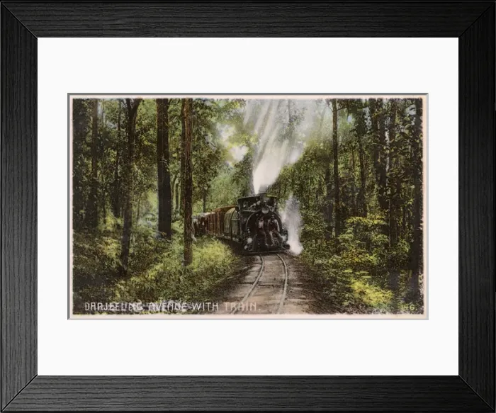 Framed Print : Darjeeling Avenue with Train Framed Print : Darjeeling Avenue with Train