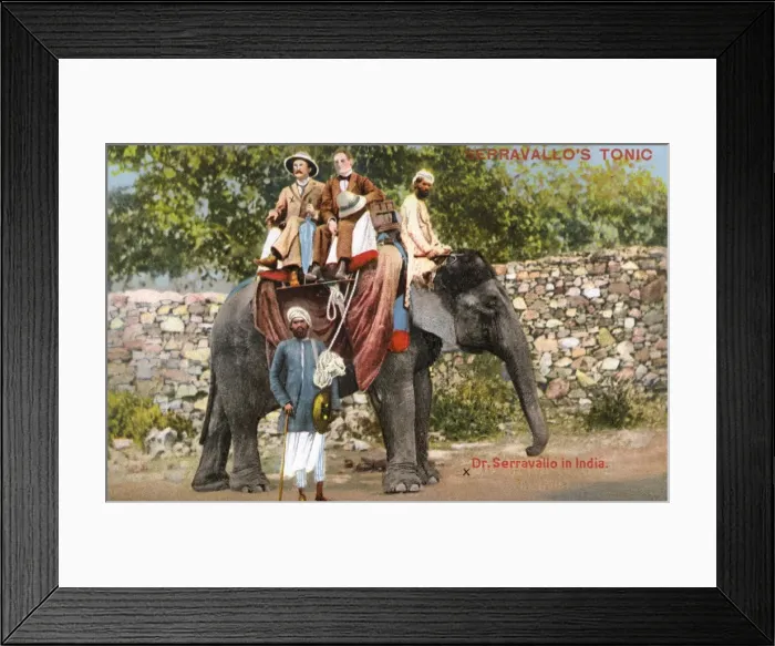 Framed Print : Indian Elephant taking Doctor Serravallo for a ride Framed Print : Indian Elephant taking Doctor Serravallo for a ride