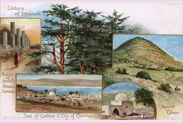 Scenes in Lebanon - Herods Palace, Mount Tabor, Galilee