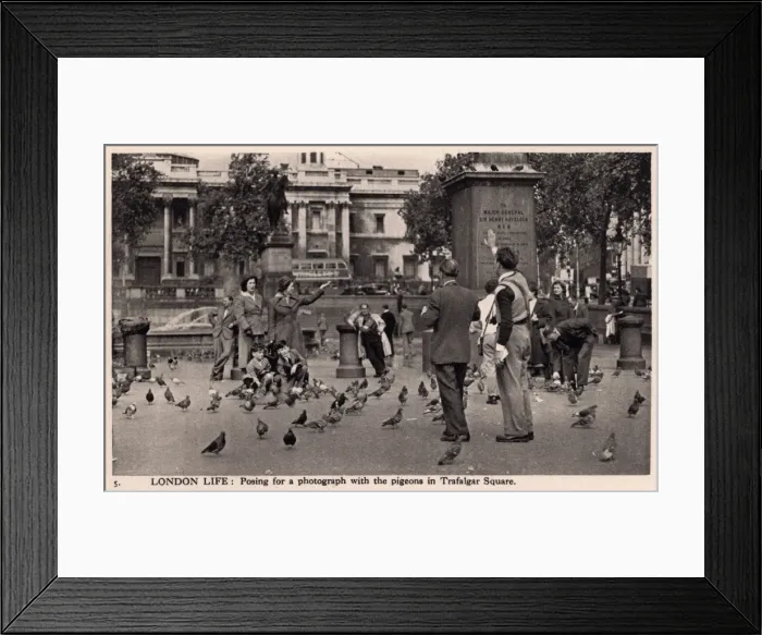 Framed Print : Posing for a photograph with the pigeons of Trafalgar Square Framed Print : Posing for a photograph with the pigeons of Trafalgar Square