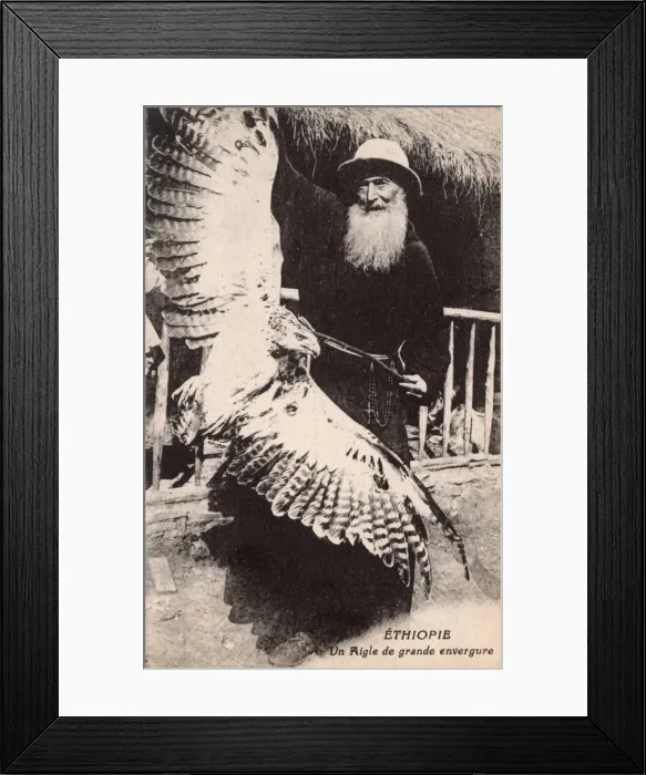 Framed Print : Ethiopia - A large eagle, held by a venerable missionary Framed Print : Ethiopia - A large eagle, held by a venerable missionary