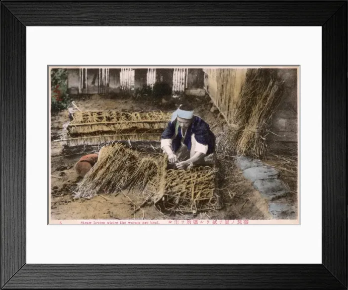 Framed Print : Worm Farm - Japan - Straw Layers