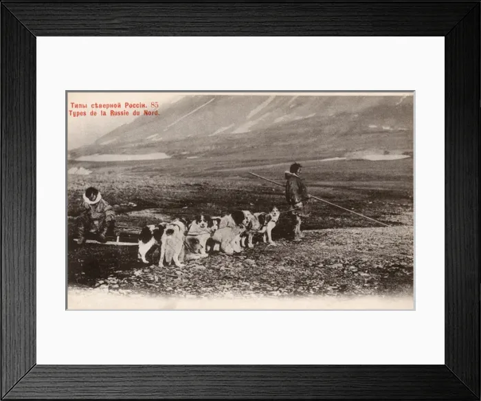 Framed Print : Northern Russia - Siberia - Dog Sled Team Framed Print : Northern Russia - Siberia - Dog Sled Team