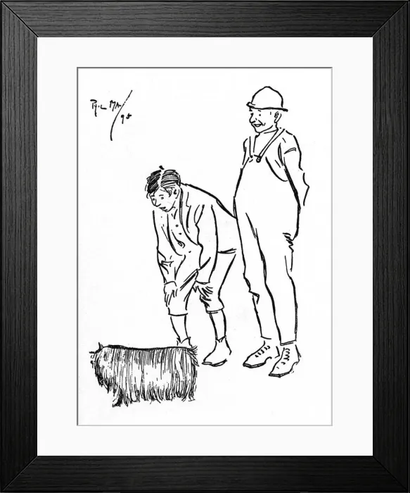 Framed Print : Two chaps unsure which end of a hairy dog is which Framed Print : Two chaps unsure which end of a hairy dog is which