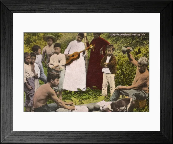 Framed Print : Hawaii, USA - Making Poi - Staple food from the Taro Plant Framed Print : Hawaii, USA - Making Poi - Staple food from the Taro Plant