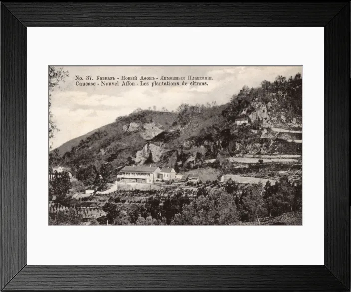Framed Print : Lemon Plantation - New Athos, Abkhazia, Georgia Framed Print : Lemon Plantation - New Athos, Abkhazia, Georgia