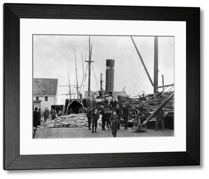 Framed Print : St. Johns, Newfoundland, Canada - Sealer unloading catch Framed Print : St. Johns, Newfoundland, Canada - Sealer unloading catch