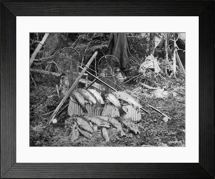 Framed Print : Newfoundland, Canada - Catch of Salmon & fishermans tackle Framed Print : Newfoundland, Canada - Catch of Salmon & fishermans tackle