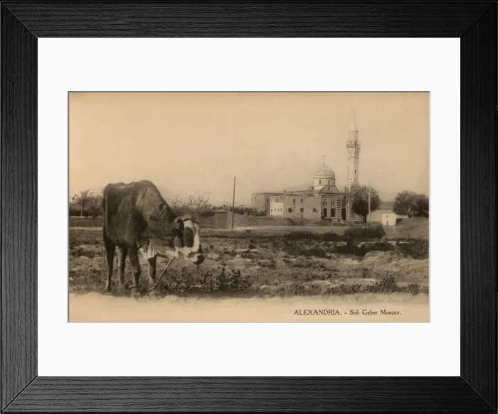 Framed Print : Alexandria, Egypt - Sidi Gaber Mosque Framed Print : Alexandria, Egypt - Sidi Gaber Mosque