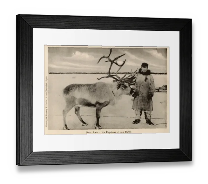 Framed Print : Alaskan Eskimo and his reindeer - Alaska, USA Framed Print : Alaskan Eskimo and his reindeer - Alaska, USA