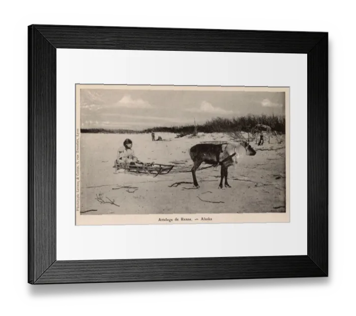 Framed Print : Christian Missionary travelling by Alaskan Reindeer sled Framed Print : Christian Missionary travelling by Alaskan Reindeer sled