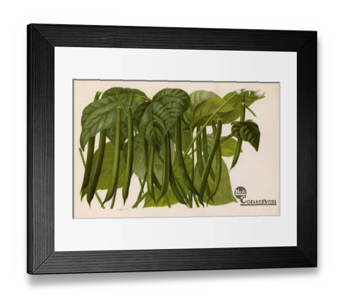 Framed Print : Green Beans - Advertorial postcard for Dutch Hero Company Framed Print : Green Beans - Advertorial postcard for Dutch Hero Company