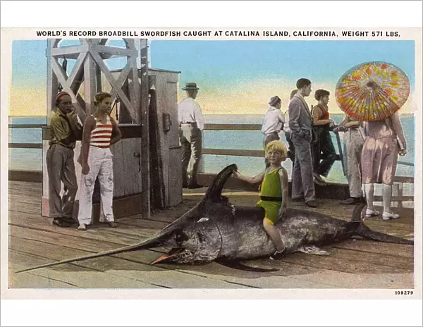 World Record Broadbill Swordfish Catalina Island, California