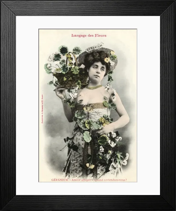 Framed Print : Language of Flowers - Geranium Framed Print : Language of Flowers - Geranium
