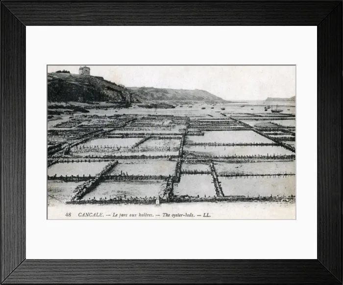 Framed Print : Cancale, Brittany, France - The Oyster Beds Framed Print : Cancale, Brittany, France - The Oyster Beds