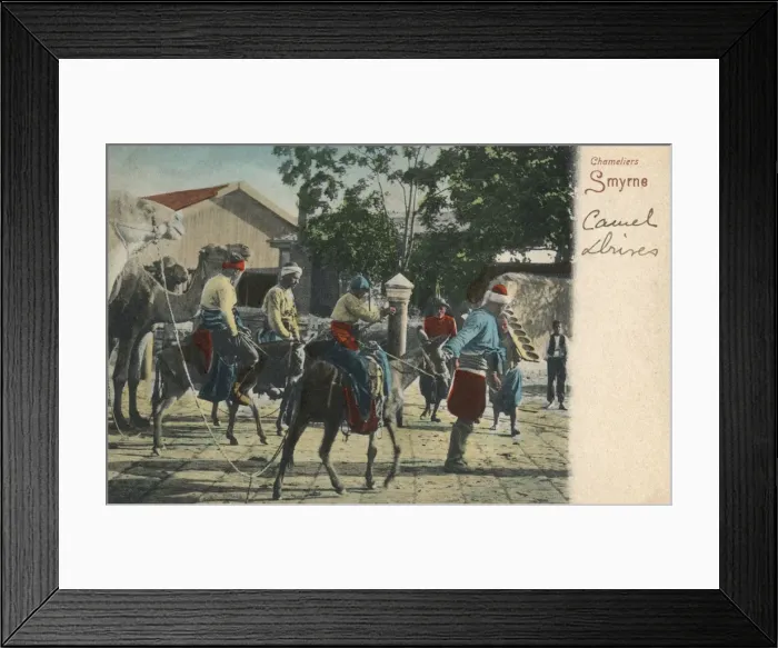 Framed Print : Izmir, Turkey - Donkeys leading a Camel train Framed Print : Izmir, Turkey - Donkeys leading a Camel train