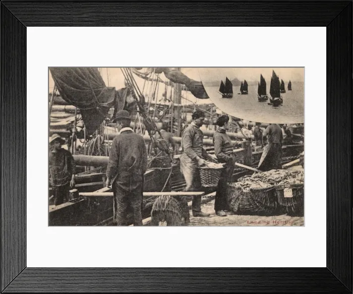 Framed Print : Landing Herring at Minehead, Somerset (and the fleet) Framed Print : Landing Herring at Minehead, Somerset (and the fleet)